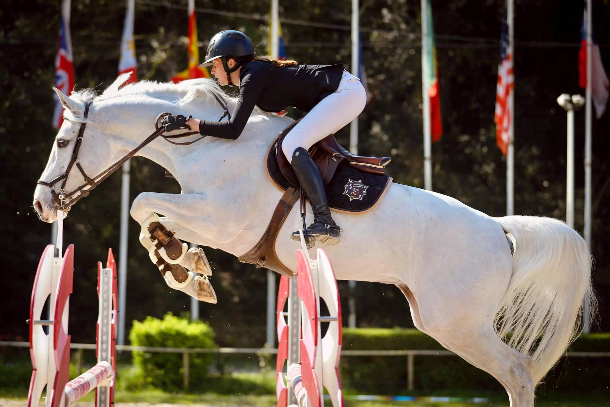 Saumur Action Formation - Coaching