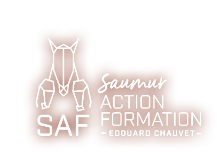 Logo SAF